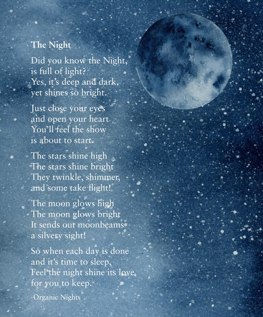 The Night Song Bedtime Lullaby